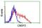 Carnosine Dipeptidase 2 antibody, NBP2-00953, Novus Biologicals, Flow Cytometry image 