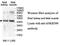 Ankyrin Repeat Domain 40 antibody, MBS416444, MyBioSource, Western Blot image 