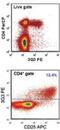 FOXP3 antibody, MA5-16222, Invitrogen Antibodies, Flow Cytometry image 