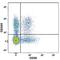 CD160 Molecule antibody, FAB6700P, R&D Systems, Flow Cytometry image 