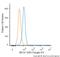 BRCA1 DNA Repair Associated antibody, NB100-600, Novus Biologicals, Flow Cytometry image 