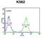 Beta-1,3-Glucuronyltransferase 1 antibody, abx034572, Abbexa, Western Blot image 