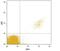 Glycoprotein V Platelet antibody, PA5-48049, Invitrogen Antibodies, Flow Cytometry image 