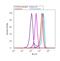 Ephrin B1 antibody, 37-8100, Invitrogen Antibodies, Flow Cytometry image 