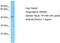 Olfactory Receptor Family 52 Subfamily R Member 1 (Gene/Pseudogene) antibody, TA332297, Origene, Western Blot image 