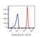 Glycophorin A (MNS Blood Group) antibody, FC02184-PE, Boster Biological Technology, Flow Cytometry image 