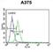 Citrate Synthase antibody, abx032658, Abbexa, Flow Cytometry image 