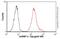 Heterogeneous Nuclear Ribonucleoprotein U antibody, ab10297, Abcam, Flow Cytometry image 