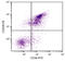 CD38 Molecule antibody, 98-749, ProSci, Immunohistochemistry paraffin image 