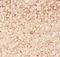 Chromogranin A antibody, PB9097, Boster Biological Technology, Immunohistochemistry frozen image 