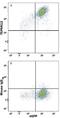 Tetraspanin 12 antibody, MAB8910, R&D Systems, Flow Cytometry image 