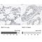 Selectin P antibody, NBP1-85744, Novus Biologicals, Immunohistochemistry paraffin image 