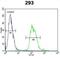 Tachykinin Precursor 1 antibody, abx032649, Abbexa, Flow Cytometry image 