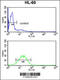 Voltage Dependent Anion Channel 1 antibody, 62-367, ProSci, Flow Cytometry image 