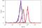 G Protein Nucleolar 3 antibody, 701157, Invitrogen Antibodies, Flow Cytometry image 