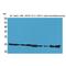 Peptidylprolyl Isomerase A antibody, LS-C386962, Lifespan Biosciences, Western Blot image 