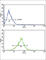 APOL1 antibody, abx033350, Abbexa, Western Blot image 