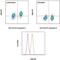 NFKB Inhibitor Alpha antibody, 12-9036-41, Invitrogen Antibodies, Flow Cytometry image 