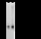 Interleukin 36 Beta antibody, 51071-R110, Sino Biological, Western Blot image 