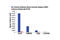 Catenin Beta 1 antibody, 9581S, Cell Signaling Technology, Chromatin Immunoprecipitation image 