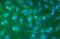 Interleukin 1 Receptor Associated Kinase 4 antibody, 36-5500, Invitrogen Antibodies, Immunofluorescence image 