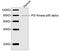 Phosphoinositide-3-Kinase Regulatory Subunit 1 antibody, LS-C203214, Lifespan Biosciences, Western Blot image 