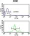 Acid Sensing Ion Channel Subunit 1 antibody, GTX80451, GeneTex, Flow Cytometry image 