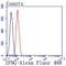 Interferon Gamma antibody, NBP2-66900, Novus Biologicals, Flow Cytometry image 