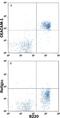 Carcinoembryonic Antigen Related Cell Adhesion Molecule 1 antibody, FAB6480P, R&D Systems, Flow Cytometry image 