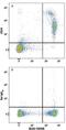 CD24 Molecule antibody, MAB8547, R&D Systems, Flow Cytometry image 