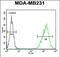 Tafazzin antibody, PA5-72579, Invitrogen Antibodies, Flow Cytometry image 