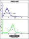 Glutaredoxin 2 antibody, 62-805, ProSci, Flow Cytometry image 