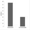 Glutamate Ionotropic Receptor NMDA Type Subunit 1 antibody, P30916, Boster Biological Technology, Immunohistochemistry paraffin image 