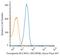 Solute Carrier Family 40 Member 1 antibody, NBP2-45356AF647, Novus Biologicals, Flow Cytometry image 