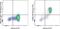 Fc Fragment Of IgG Receptor Ia antibody, 61-0649-42, Invitrogen Antibodies, Flow Cytometry image 