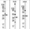 Hypoxia Inducible Factor 1 Subunit Alpha Inhibitor antibody, PA5-11149, Invitrogen Antibodies, Western Blot image 