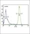 Cyclin Dependent Kinase Inhibitor 2D antibody, PA5-26413, Invitrogen Antibodies, Flow Cytometry image 