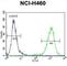 MIER Family Member 2 antibody, abx026134, Abbexa, Western Blot image 