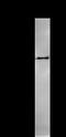 Caspase recruitment domain-containing protein 8 antibody, LS-C342392, Lifespan Biosciences, Immunoprecipitation image 