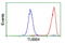 Tubulin Beta 4A Class IVa antibody, LS-C172999, Lifespan Biosciences, Flow Cytometry image 