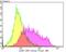 Chromatin Assembly Factor 1 Subunit A antibody, NBP2-76859, Novus Biologicals, Flow Cytometry image 