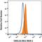 C-X-C Motif Chemokine Ligand 13 antibody, IC801A, R&D Systems, Flow Cytometry image 