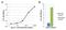 Apolipoprotein A1 antibody, GTX15660, GeneTex, Enzyme Linked Immunosorbent Assay image 
