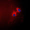 p15-INK4b antibody, LS-C351981, Lifespan Biosciences, Immunofluorescence image 
