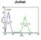 Nucleolar Protein 9 antibody, abx034569, Abbexa, Flow Cytometry image 