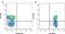 CD47 Molecule antibody, MCA2514A647T, Bio-Rad (formerly AbD Serotec) , Flow Cytometry image 