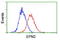 Epsin 2 antibody, LS-C173744, Lifespan Biosciences, Flow Cytometry image 