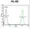 Ectonucleoside Triphosphate Diphosphohydrolase 3 antibody, LS-C167775, Lifespan Biosciences, Flow Cytometry image 