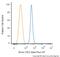 RPTOR Independent Companion Of MTOR Complex 2 antibody, NBP1-51645AF647, Novus Biologicals, Flow Cytometry image 