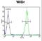 Galectin 2 antibody, LS-C165746, Lifespan Biosciences, Flow Cytometry image 